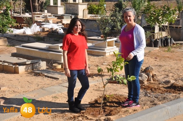 ashjar taso 0328 (8).JPG